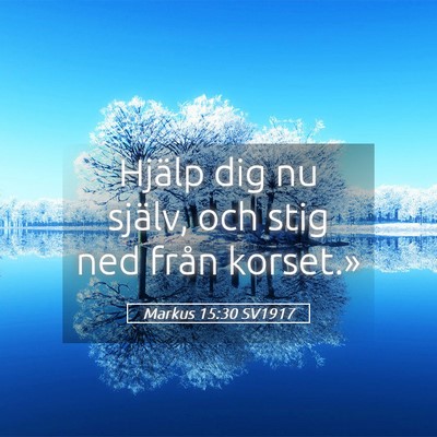 Picture 05 - Markus 15:30 SV1917 - Hjälp dig nu själv, och stig ned från - Bible Verse Picture