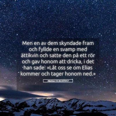 Picture 05 - Markus 15:36 SV1917 - Men en av dem skyndade fram och fyllde en svamp - Bible Verse Picture