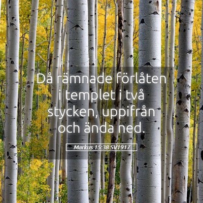 Picture 05 - Markus 15:38 SV1917 - Då rämnade förlåten i templet i två stycken, - Bible Verse Picture