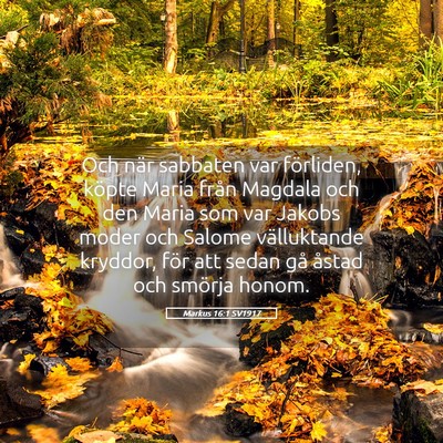Picture 05 - Markus 16:1 SV1917 - Och när sabbaten var förliden, köpte Maria - Bible Verse Picture