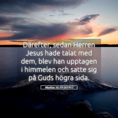 Picture 05 - Markus 16:19 SV1917 - Därefter, sedan Herren Jesus hade talat med dem, - Bible Verse Picture