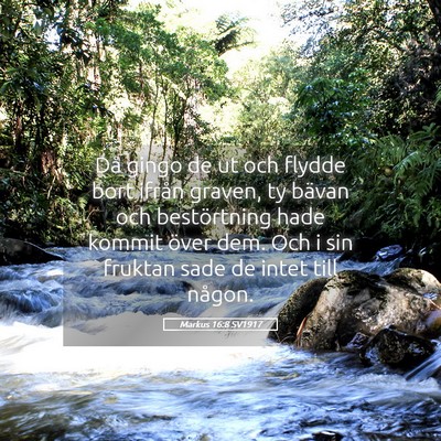 Picture 05 - Markus 16:8 SV1917 - Då gingo de ut och flydde bort ifrån graven, ty - Bible Verse Picture