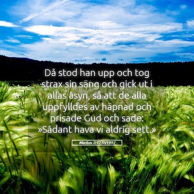 Picture 05 - Markus 2:12 SV1917 - Då stod han upp och tog strax sin säng och gick - Bible Verse Picture
