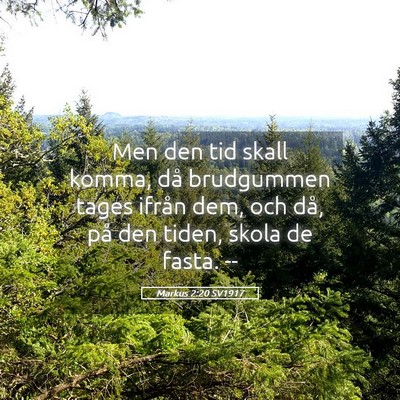 Picture 05 - Markus 2:20 SV1917 - Men den tid skall komma, då brudgummen tages - Bible Verse Picture
