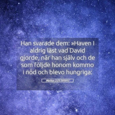 Picture 05 - Markus 2:25 SV1917 - Han svarade dem: »Haven I aldrig läst vad David - Bible Verse Picture