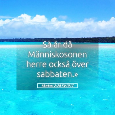 Picture 05 - Markus 2:28 SV1917 - Så år då Människosonen herre också över - Bible Verse Picture