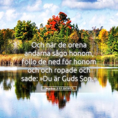 Picture 05 - Markus 3:11 SV1917 - Och när de orena andarna sågo honom, föllo de - Bible Verse Picture