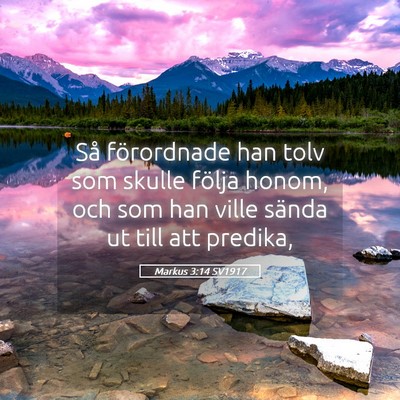 Picture 05 - Markus 3:14 SV1917 - Så förordnade han tolv som skulle följa honom, - Bible Verse Picture