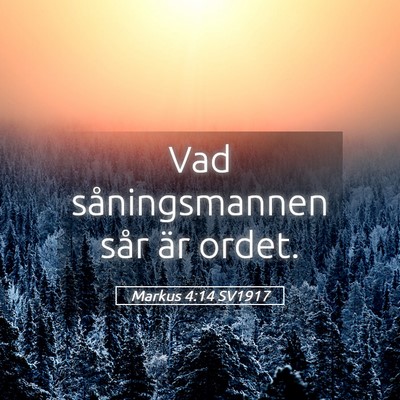 Picture 05 - Markus 4:14 SV1917 - Vad såningsmannen sår är - Bible Verse Picture