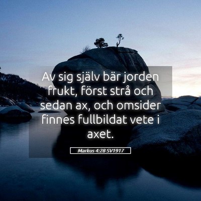 Picture 05 - Markus 4:28 SV1917 - Av sig själv bär jorden frukt, först strå och - Bible Verse Picture