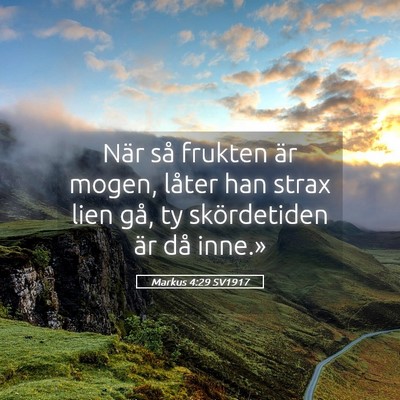 Picture 05 - Markus 4:29 SV1917 - När så frukten är mogen, låter han strax lien - Bible Verse Picture