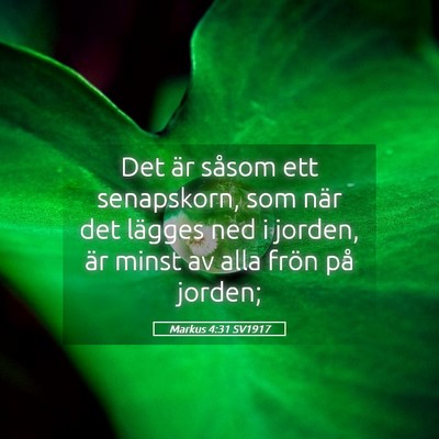 Picture 05 - Markus 4:31 SV1917 - Det är såsom ett senapskorn, som när det - Bible Verse Picture
