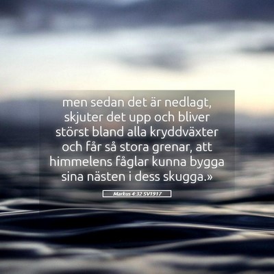 Picture 05 - Markus 4:32 SV1917 - men sedan det är nedlagt, skjuter det upp och - Bible Verse Picture