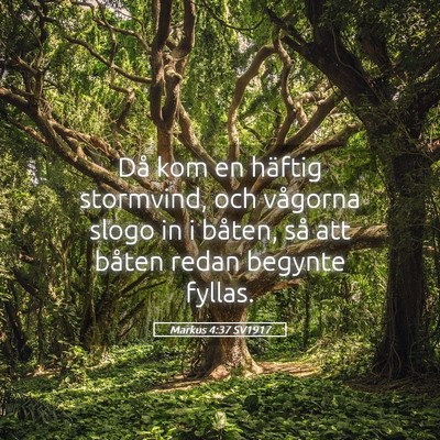 Picture 05 - Markus 4:37 SV1917 - Då kom en häftig stormvind, och vågorna slogo - Bible Verse Picture