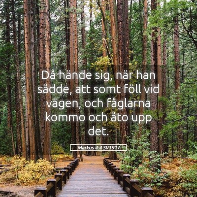 Picture 05 - Markus 4:4 SV1917 - Då hände sig, när han sådde, att somt föll - Bible Verse Picture