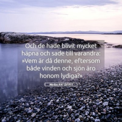 Picture 05 - Markus 4:41 SV1917 - Och de hade blivit mycket häpna och sade till - Bible Verse Picture