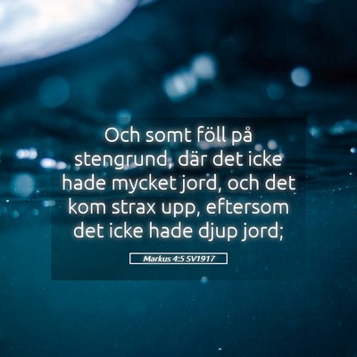 Picture 05 - Markus 4:5 SV1917 - Och somt föll på stengrund, där det icke hade - Bible Verse Picture
