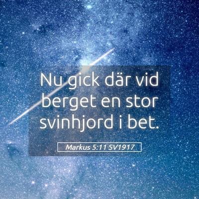 Picture 05 - Markus 5:11 SV1917 - Nu gick där vid berget en stor svinhjord i - Bible Verse Picture