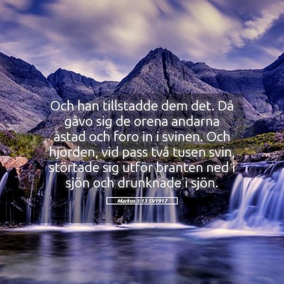 Picture 05 - Markus 5:13 SV1917 - Och han tillstadde dem det. Då gåvo sig de - Bible Verse Picture