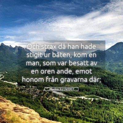 Picture 05 - Markus 5:2 SV1917 - Och strax då han hade stigit ur båten, kom en - Bible Verse Picture