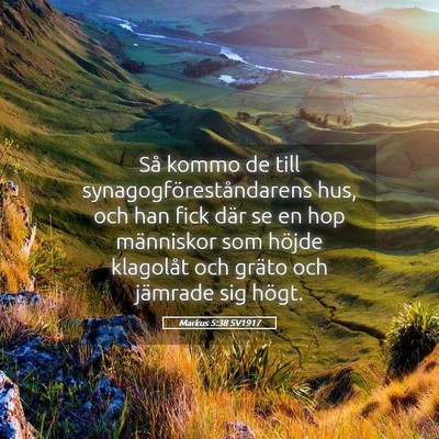 Picture 05 - Markus 5:38 SV1917 - Så kommo de till synagogföreståndarens hus, - Bible Verse Picture