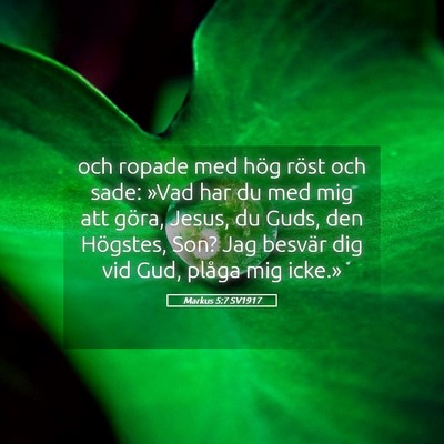 Picture 05 - Markus 5:7 SV1917 - och ropade med hög röst och sade: »Vad har du - Bible Verse Picture