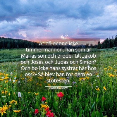 Picture 05 - Markus 6:3 SV1917 - Är då denne icke timmermannen, han som är - Bible Verse Picture