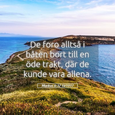 Picture 05 - Markus 6:32 SV1917 - De foro alltså i båten bort till en öde trakt, - Bible Verse Picture
