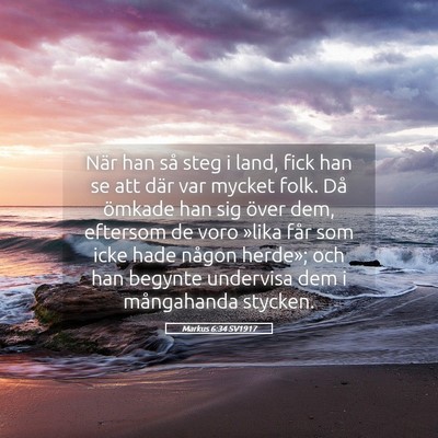 Picture 05 - Markus 6:34 SV1917 - När han så steg i land, fick han se att där - Bible Verse Picture