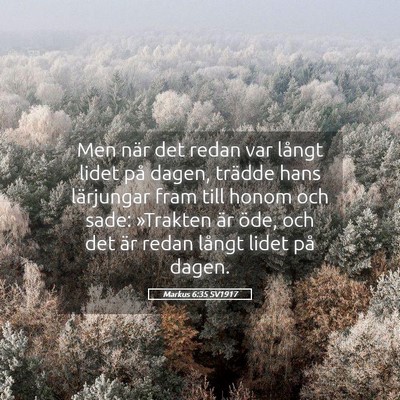 Picture 05 - Markus 6:35 SV1917 - Men när det redan var långt lidet på dagen, - Bible Verse Picture
