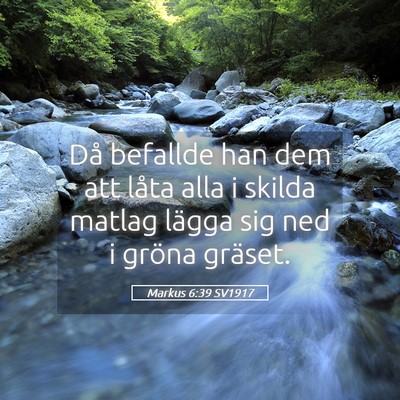 Picture 05 - Markus 6:39 SV1917 - Då befallde han dem att låta alla i skilda - Bible Verse Picture