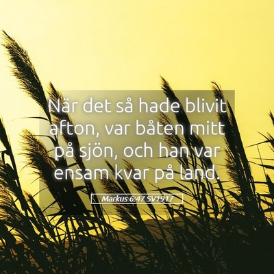 Picture 05 - Markus 6:47 SV1917 - När det så hade blivit afton, var båten mitt - Bible Verse Picture