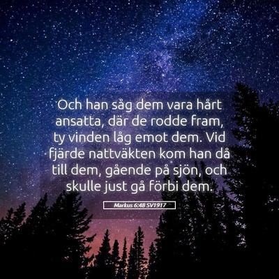 Picture 05 - Markus 6:48 SV1917 - Och han såg dem vara hårt ansatta, där de - Bible Verse Picture