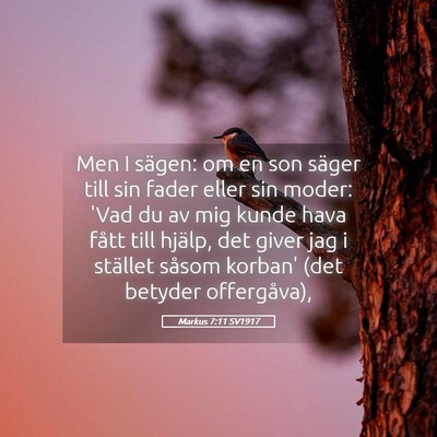 Picture 05 - Markus 7:11 SV1917 - Men I sägen: om en son säger till sin fader - Bible Verse Picture