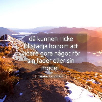 Picture 05 - Markus 7:12 SV1917 - då kunnen I icke tillstädja honom att vidare - Bible Verse Picture