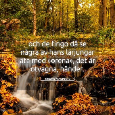 Picture 05 - Markus 7:2 SV1917 - och de fingo då se några av hans lärjungar - Bible Verse Picture