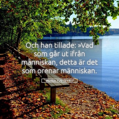 Picture 05 - Markus 7:20 SV1917 - Och han tillade: »Vad som går ut ifrån - Bible Verse Picture