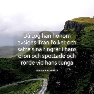 Picture 05 - Markus 7:33 SV1917 - Då tog han honom avsides ifrån folket och satte - Bible Verse Picture