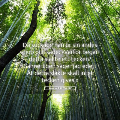 Picture 05 - Markus 8:12 SV1917 - Då suckade han ur sin andes djup och sade: - Bible Verse Picture