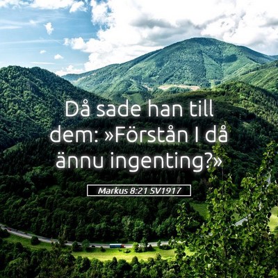Picture 05 - Markus 8:21 SV1917 - Då sade han till dem: »Förstån I då ännu - Bible Verse Picture