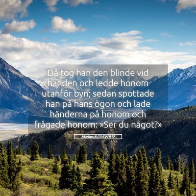 Picture 05 - Markus 8:23 SV1917 - Då tog han den blinde vid handen och ledde honom - Bible Verse Picture