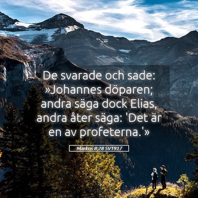 Picture 05 - Markus 8:28 SV1917 - De svarade och sade: »Johannes döparen; andra - Bible Verse Picture