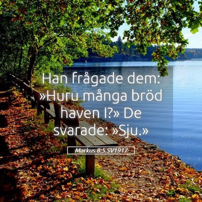 Picture 05 - Markus 8:5 SV1917 - Han frågade dem: »Huru många bröd haven I?» - Bible Verse Picture