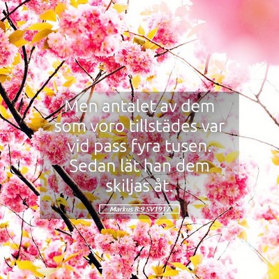 Picture 05 - Markus 8:9 SV1917 - Men antalet av dem som voro tillstädes var vid - Bible Verse Picture