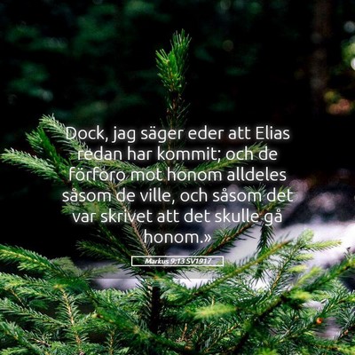 Picture 05 - Markus 9:13 SV1917 - Dock, jag säger eder att Elias redan har kommit; - Bible Verse Picture