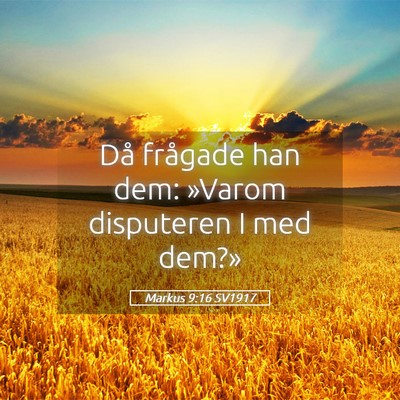 Picture 05 - Markus 9:16 SV1917 - Då frågade han dem: »Varom disputeren I med - Bible Verse Picture