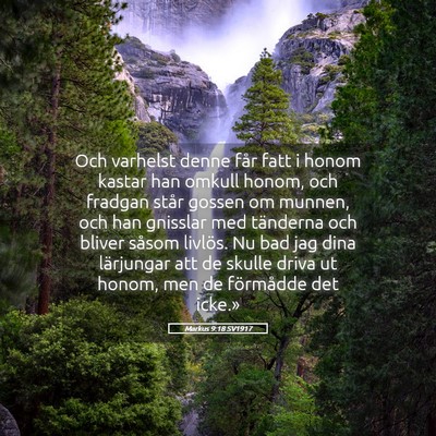 Picture 05 - Markus 9:18 SV1917 - Och varhelst denne får fatt i honom kastar han - Bible Verse Picture