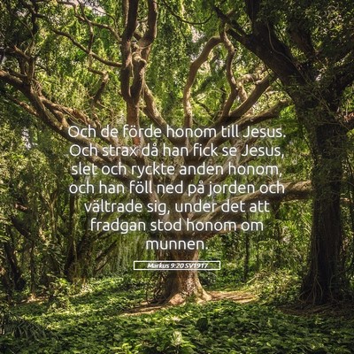 Picture 05 - Markus 9:20 SV1917 - Och de förde honom till Jesus. Och strax då han - Bible Verse Picture