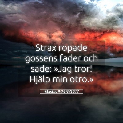 Picture 05 - Markus 9:24 SV1917 - Strax ropade gossens fader och sade: »Jag tror! - Bible Verse Picture