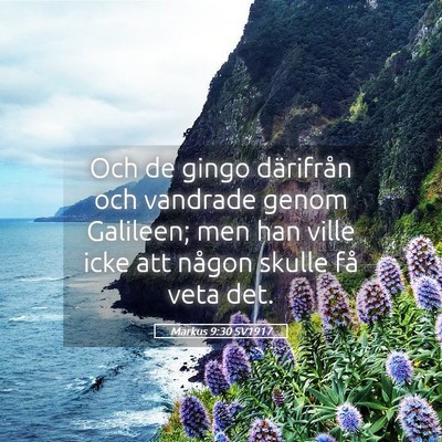Picture 05 - Markus 9:30 SV1917 - Och de gingo därifrån och vandrade genom - Bible Verse Picture